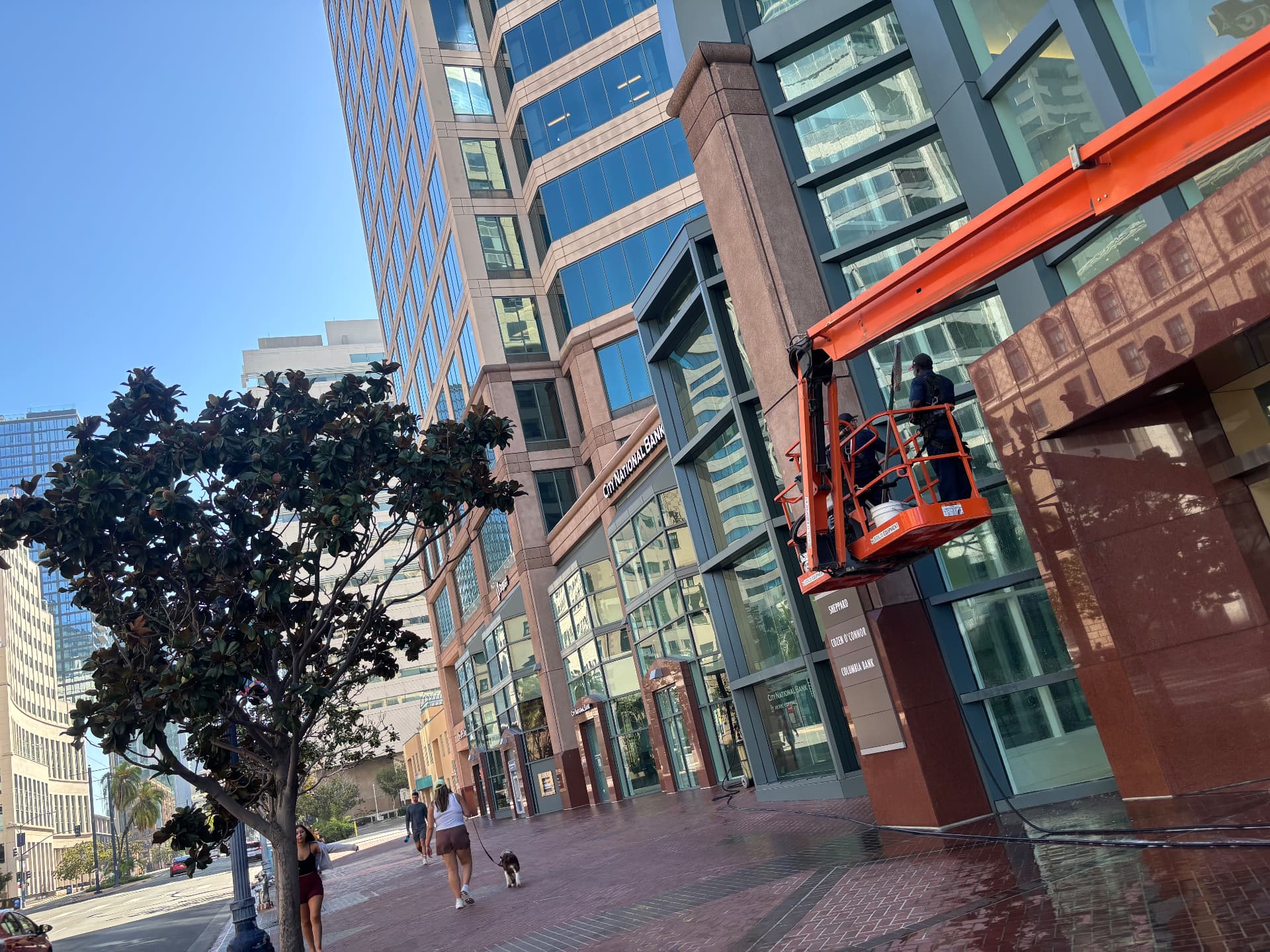 Commercial Window Cleaning